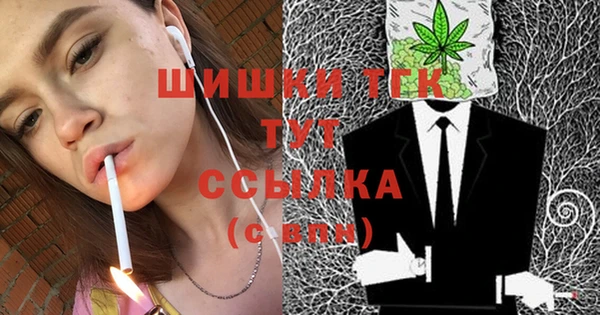 хмурый Михайловск