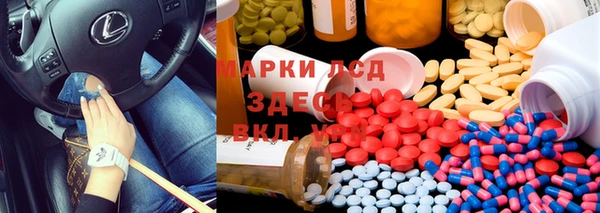 хмурый Михайловск