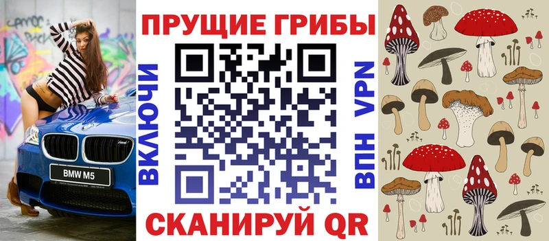 Галлюциногенные грибы Psilocybine cubensis  Южноуральск 